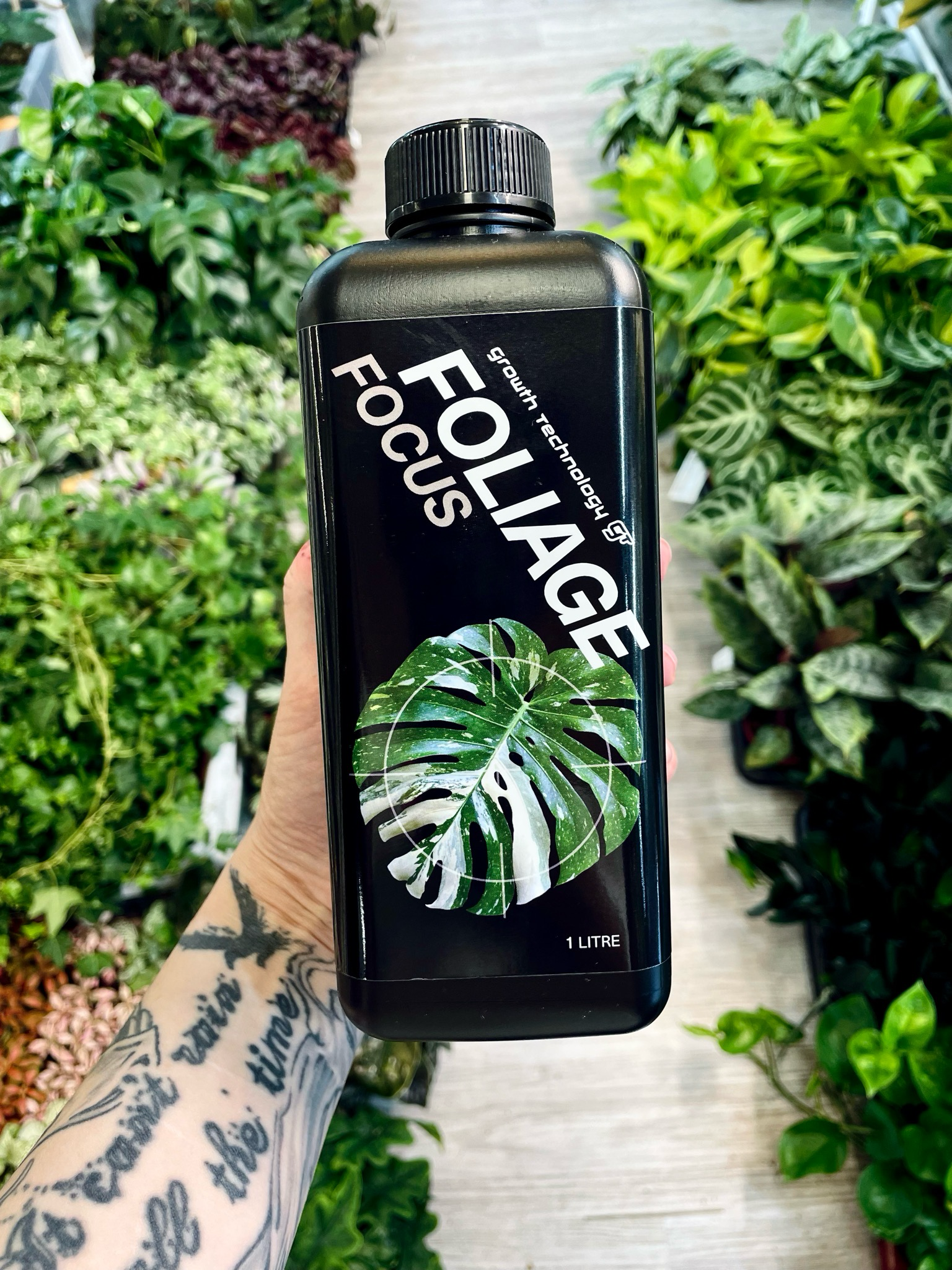 gt focus on foliage plant fertilizer Growth Technology Foliage Focus – PLANTMANIA
