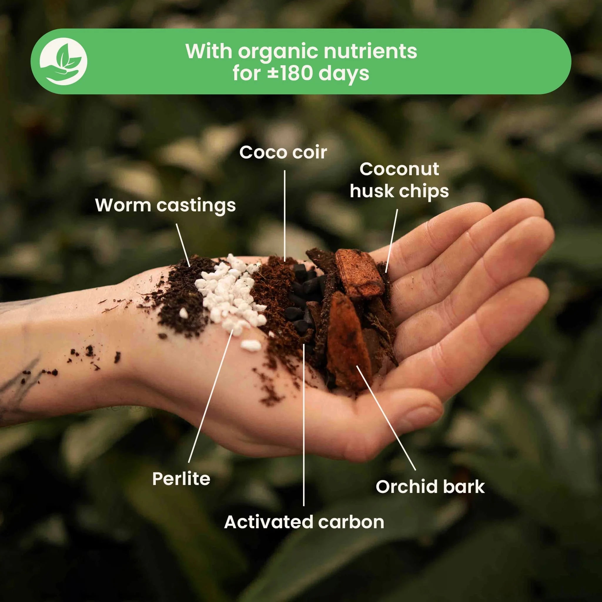 SYBASoil Anthurium mix- prozračni chunky mix/substrat 5L