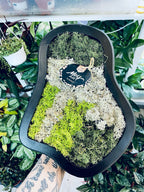 Living picture (stabilized moss/lichen) natural M 30/25cm