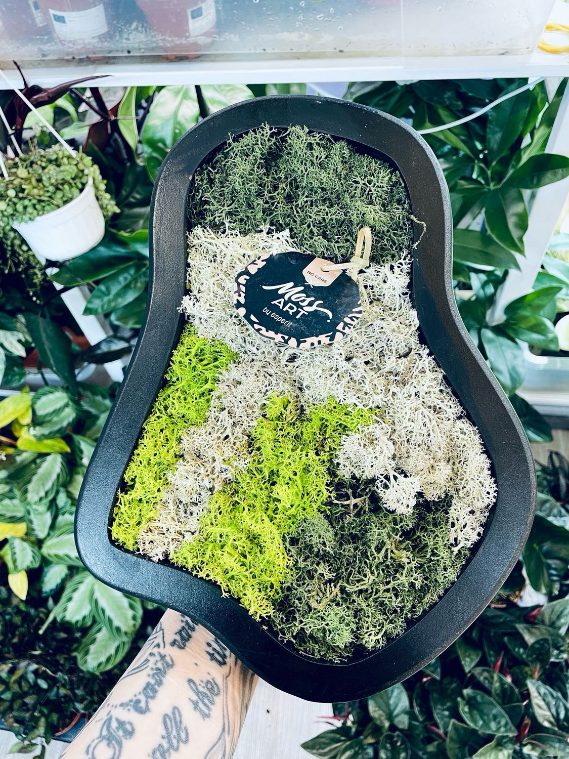 Living picture (stabilized moss/lichen) natural M 30/25cm