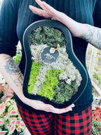 Living picture (stabilized moss/lichen) natural M 30/25cm