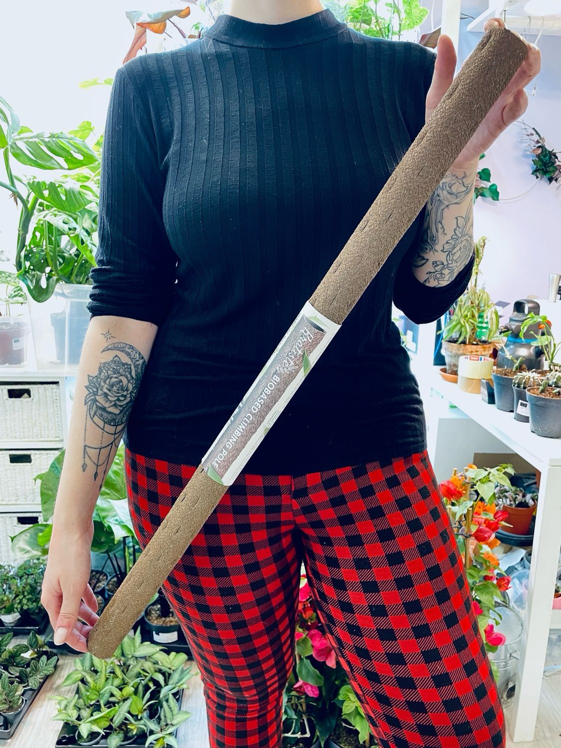Kratiste prirodni oslonac/štap za penjanje 75cm