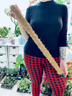 Kokos oslonac/štap za penjanje 80cm