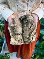Cork Bark 15cm
