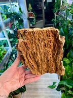 Cork Bark 15cm