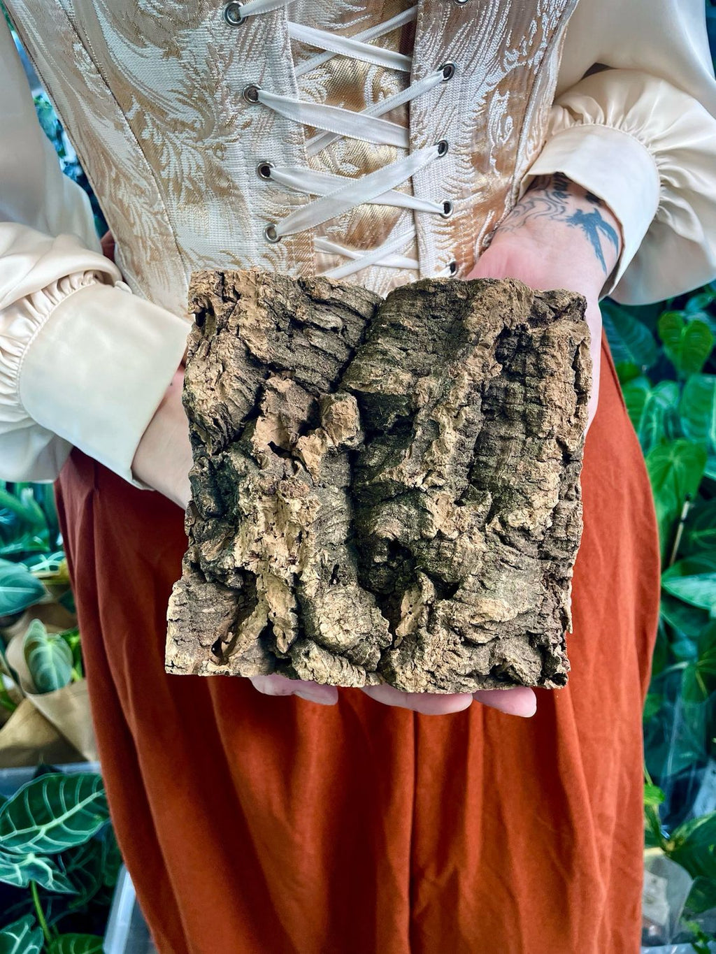 Cork Bark 15cm