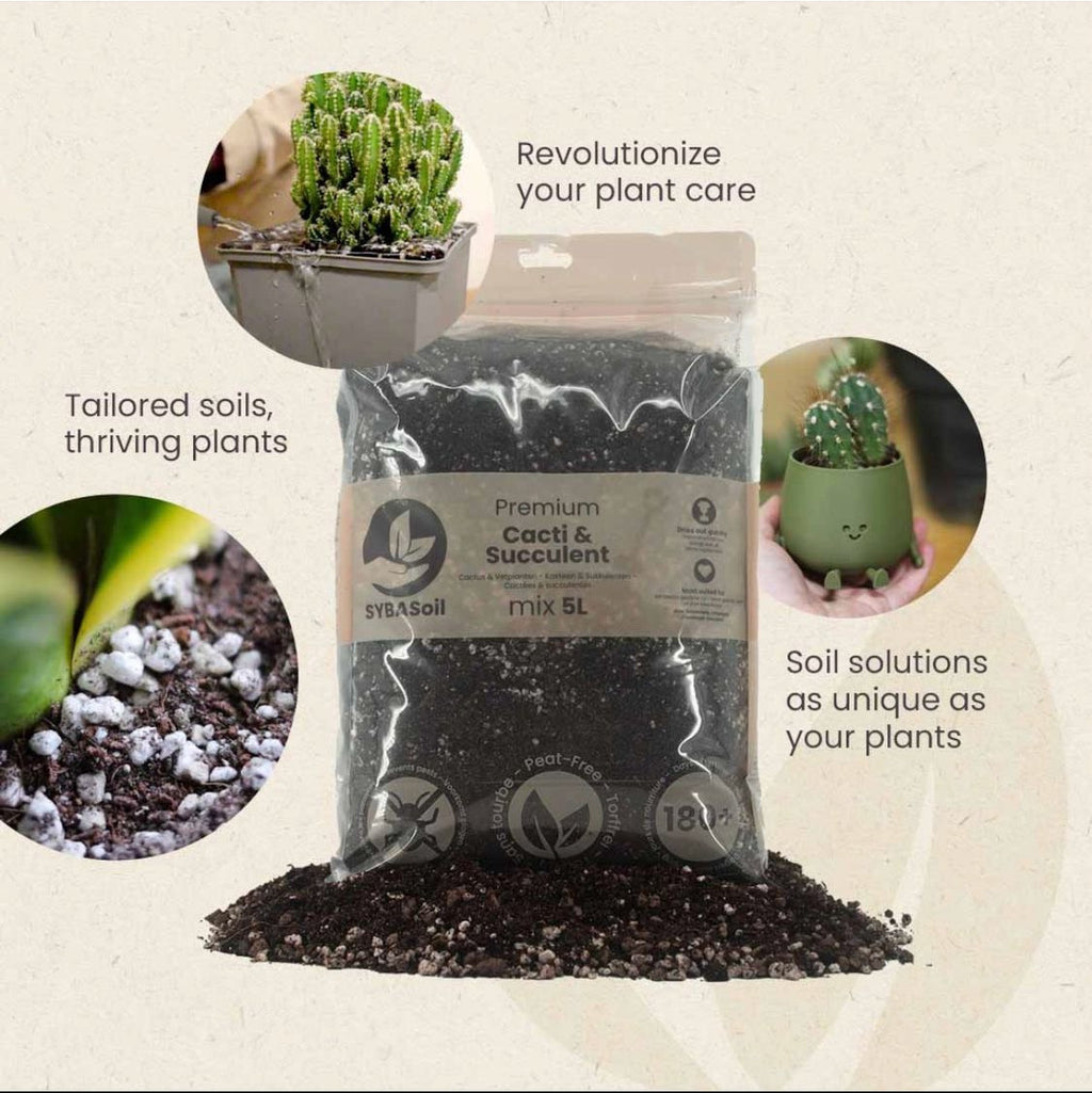 Bag of premium cacti and succulent soil mix with text on a beige background
