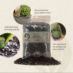 Bag of premium cacti and succulent soil mix with text on a beige background