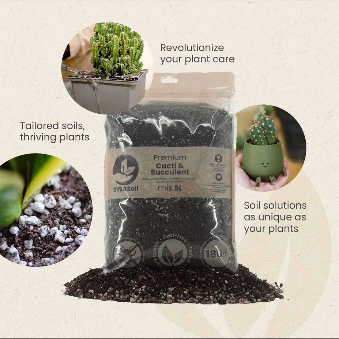 Bag of premium cacti and succulent soil mix with text on a beige background