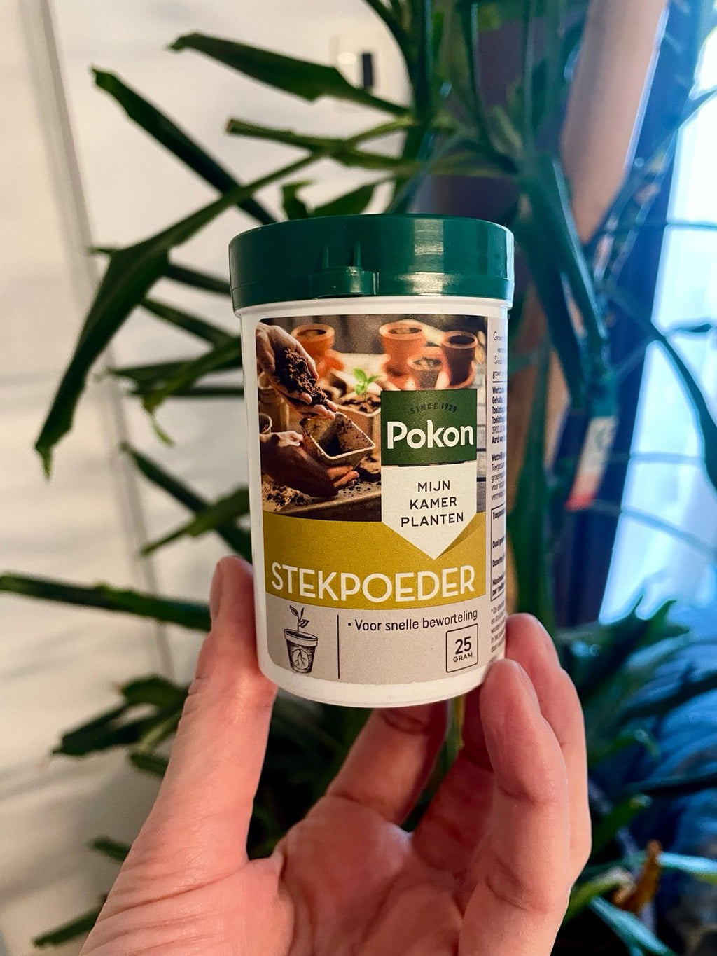 Pokon Cutting Powder 25gr (prašak za ukorjenjivanje)