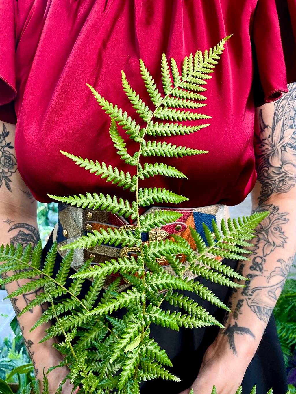 Dicksonia antarctica drvena paprat