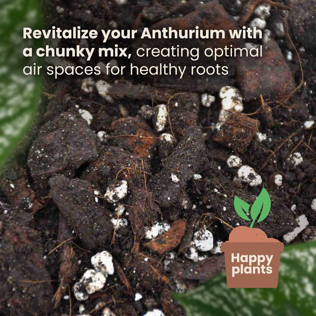Supstrat SYBASoil Anthurium Mix 5L - Premium mješavina zemlje za Anthuriume