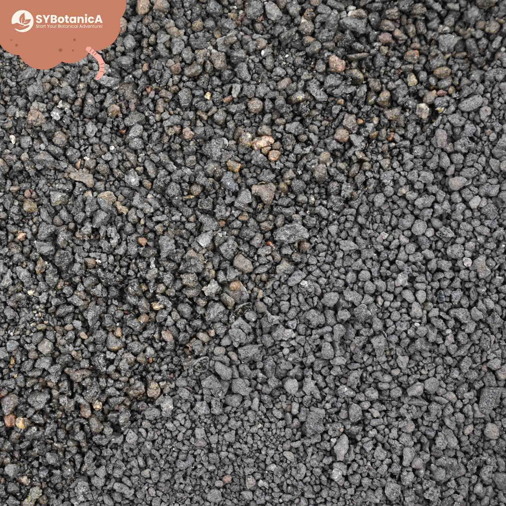 Supstrat SYBASoil Lava šljunak 0-4mm 3L