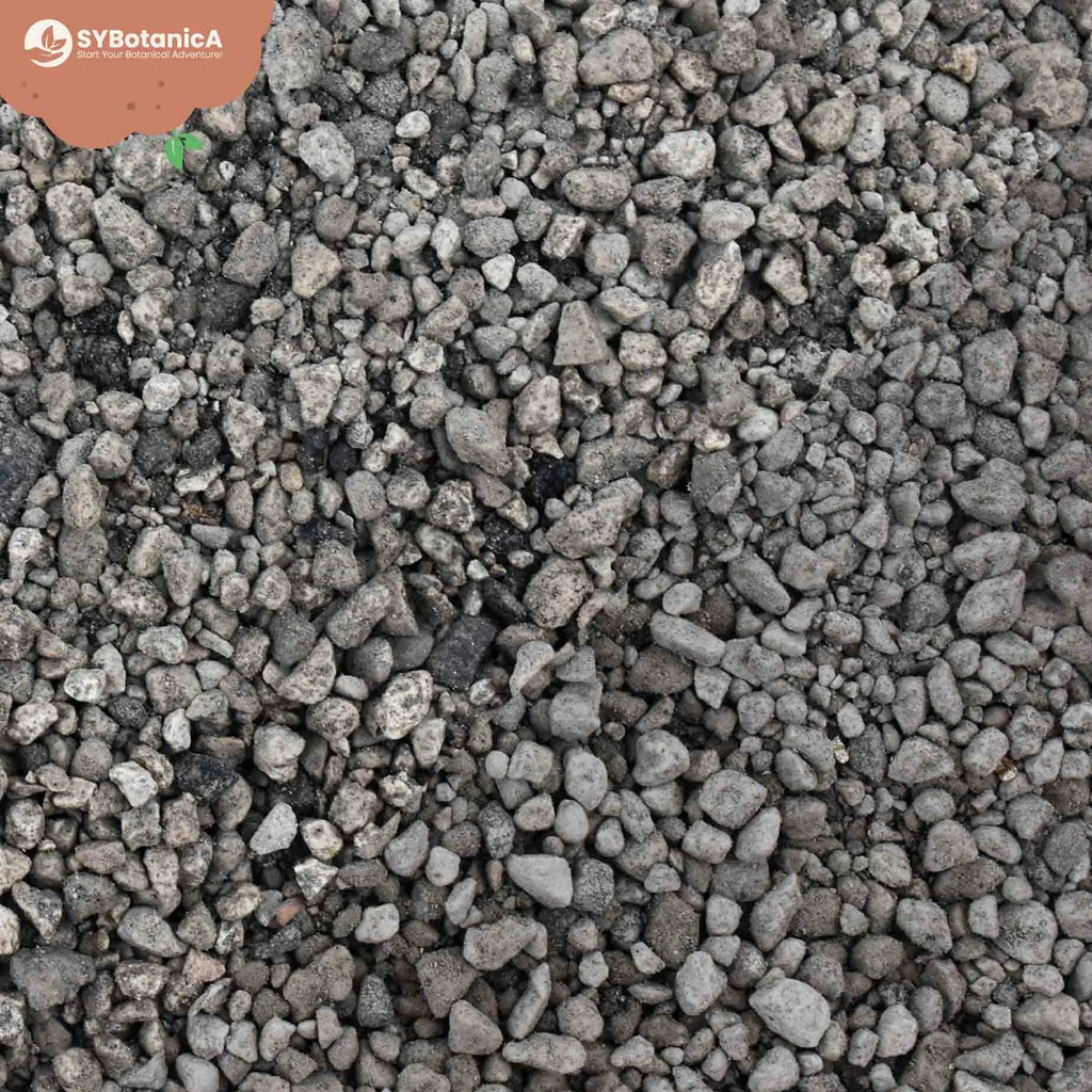 Supstrat SYBASoil Pumice 2-8mm 3L