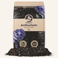 Supstrat SYBASoil Anthurium Mix 5L - Premium mješavina zemlje za Anthuriume