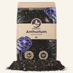 Supstrat SYBASoil Anthurium Mix 5L - Premium mješavina zemlje za Anthuriume