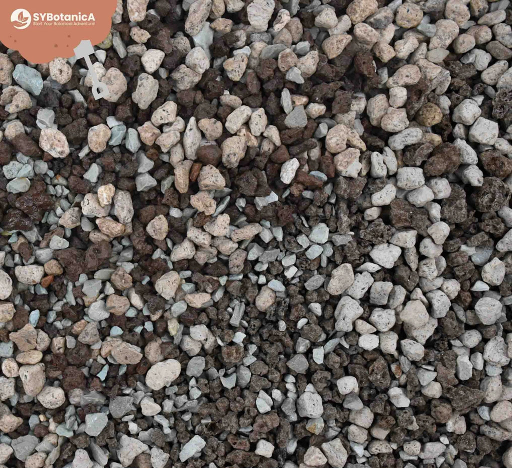 Close up of mineral stones: perlite, zeolite, pumice, lava rock