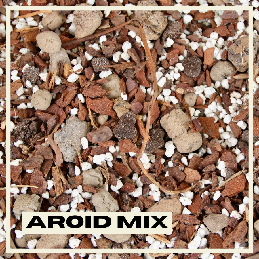 Supstrat PlantNest Premium Mix za Aroide 3L